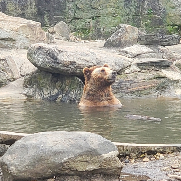 Meet your Posher, Brooke - Picture 1 of 1